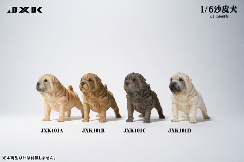 1/6 Shar Pei A