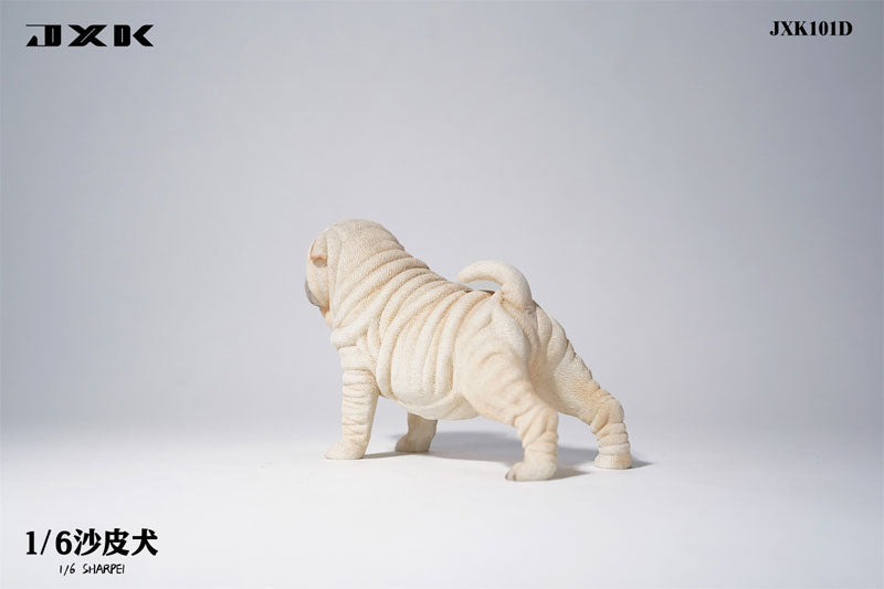 1/6 Shar Pei D