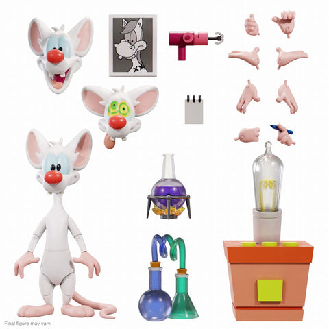 Animaniacs / Pinky Ultimate Action Figure