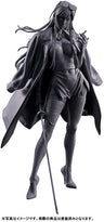 G.A.F.C. Series - IRENA (Hirokawa Co., Ltd.)