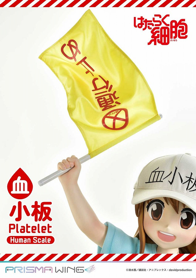 Platelet - Hataraku Saibou