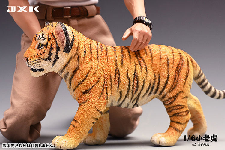 1/6 Tiger Kin