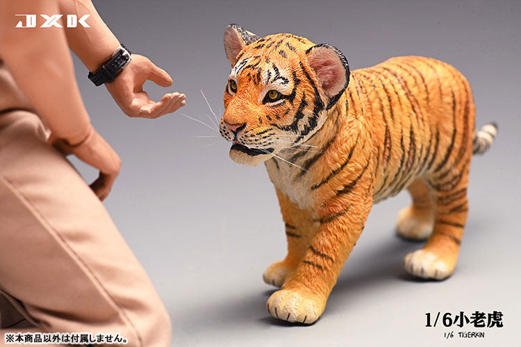 1/6 Tiger Kin