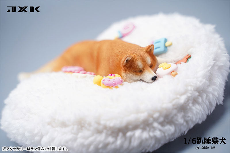 1/6 Sleeping Shiba Inu A1