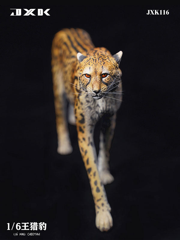 1/6 King Cheetah