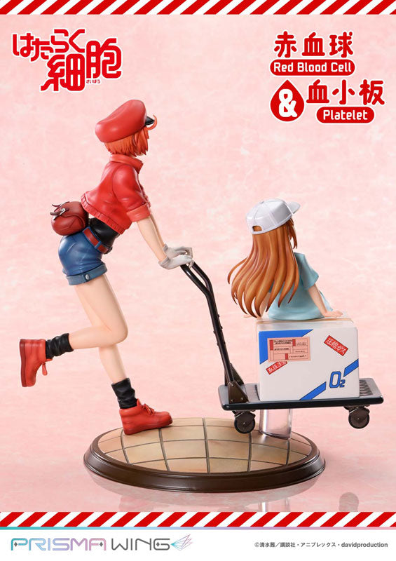 AE3803, Platelet - Hataraku Saibou