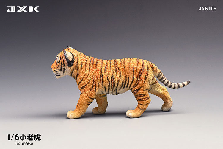 1/6 Tiger Kin