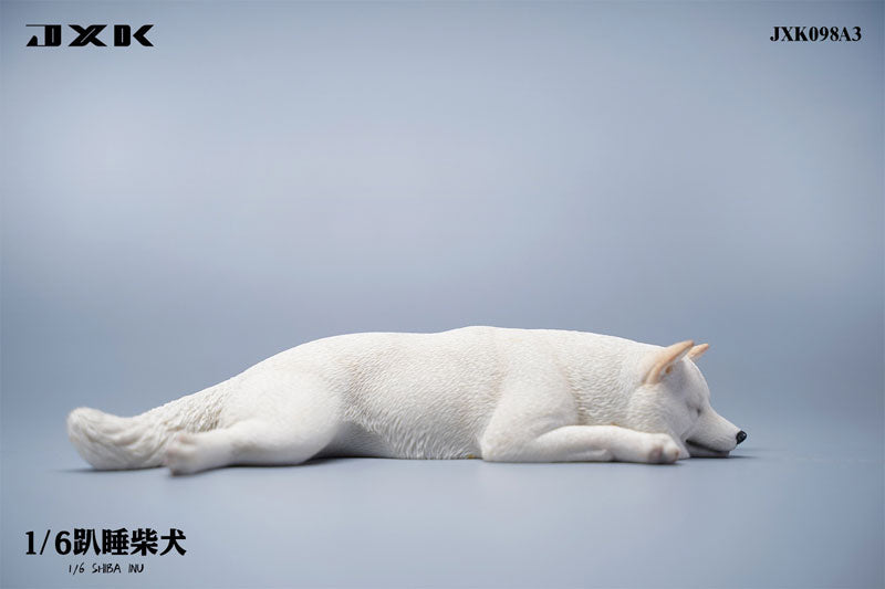 1/6 Sleeping Shiba Inu A3