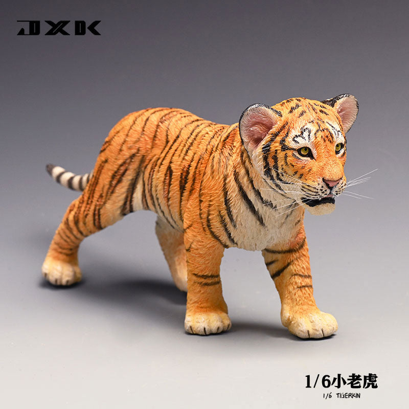 1/6 Tiger Kin