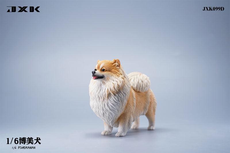 1/6 Pomeranian D