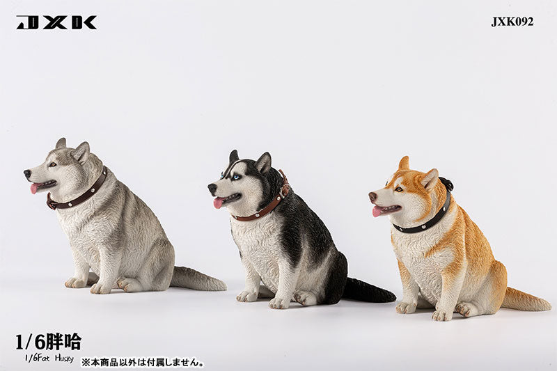 1/6 Chubby Husky A