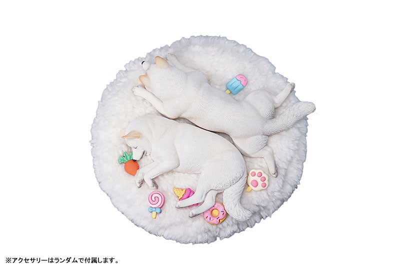 1/6 Sleeping Shiba Inu Set C3