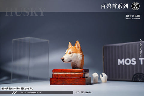 1/6 Head Husky A