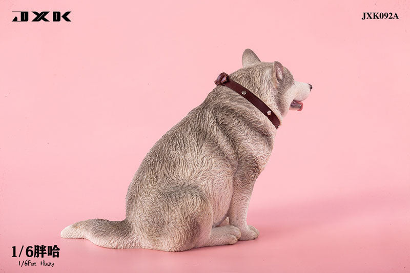 1/6 Chubby Husky A