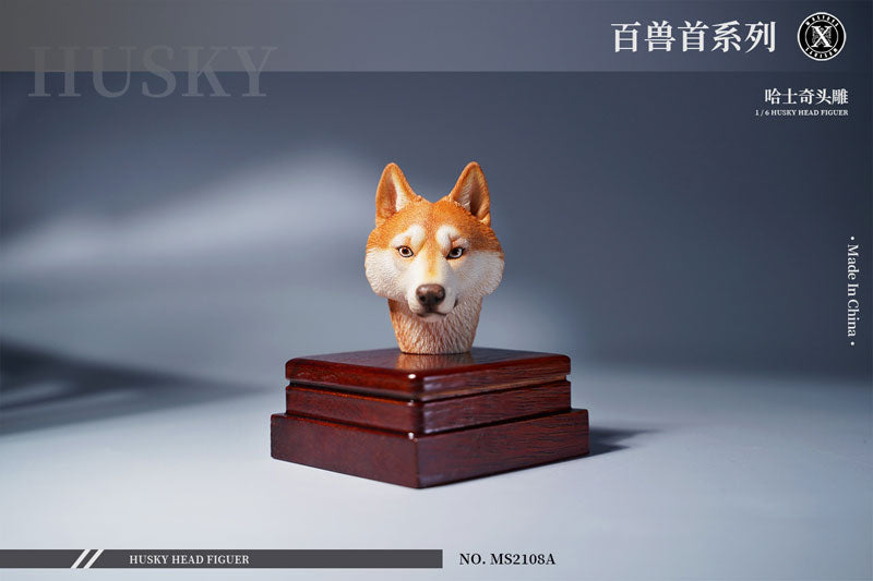 1/6 Head Husky A