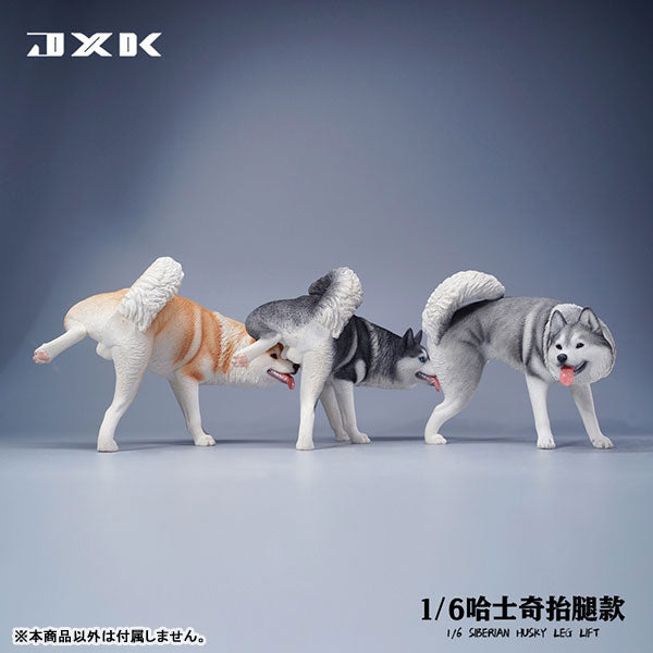 1/6 Siberian Husky Lifting Leg C