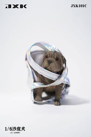 1/6 Shar Pei C