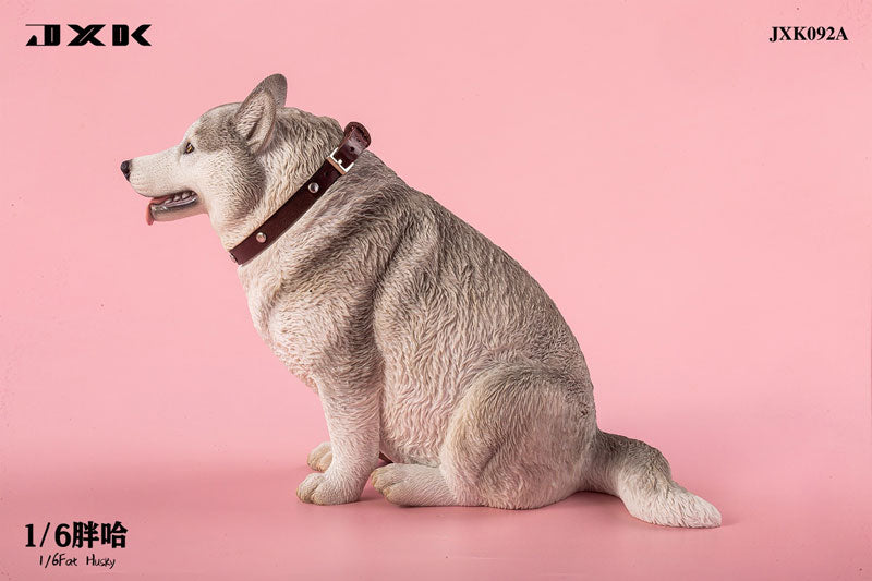 1/6 Chubby Husky A