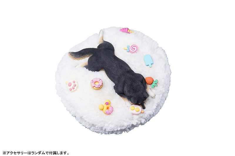 1/6 Sleeping Shiba Inu A2