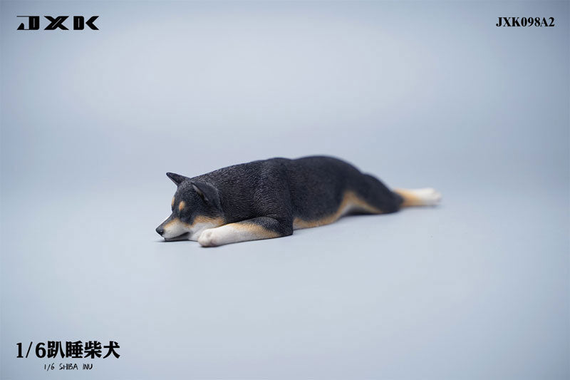 1/6 Sleeping Shiba Inu A2