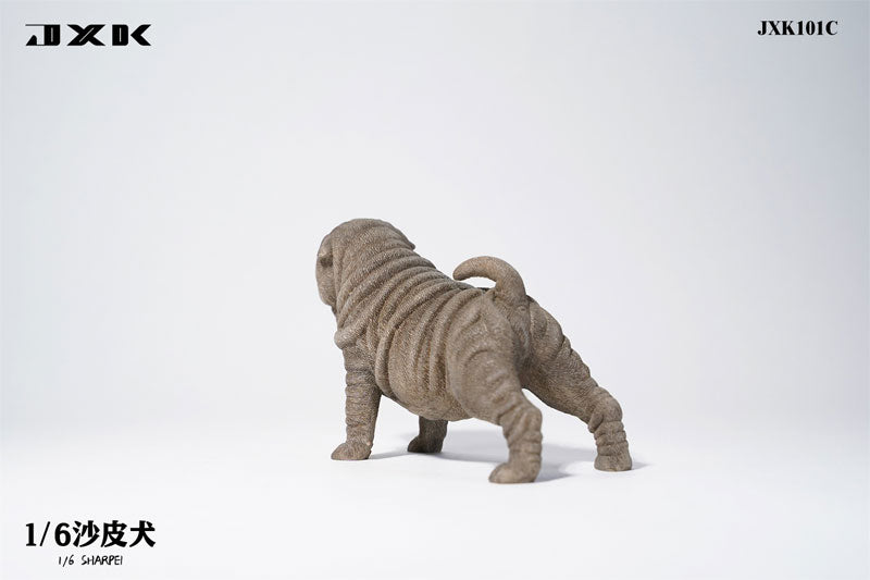 1/6 Shar Pei C