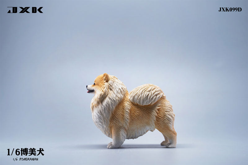 1/6 Pomeranian D