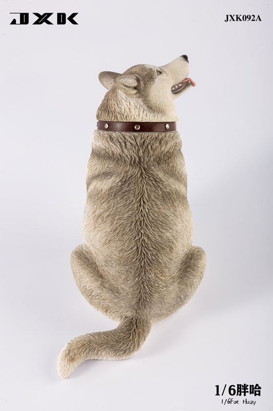 1/6 Chubby Husky A