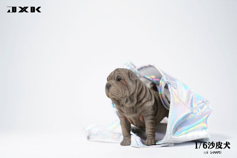 1/6 Shar Pei C