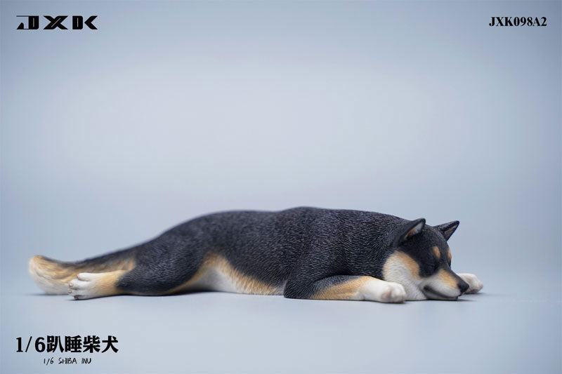 1/6 Sleeping Shiba Inu A2