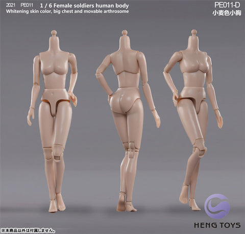 1/6 Female Soldier Human Body (Body) Tan/ Small Bust D