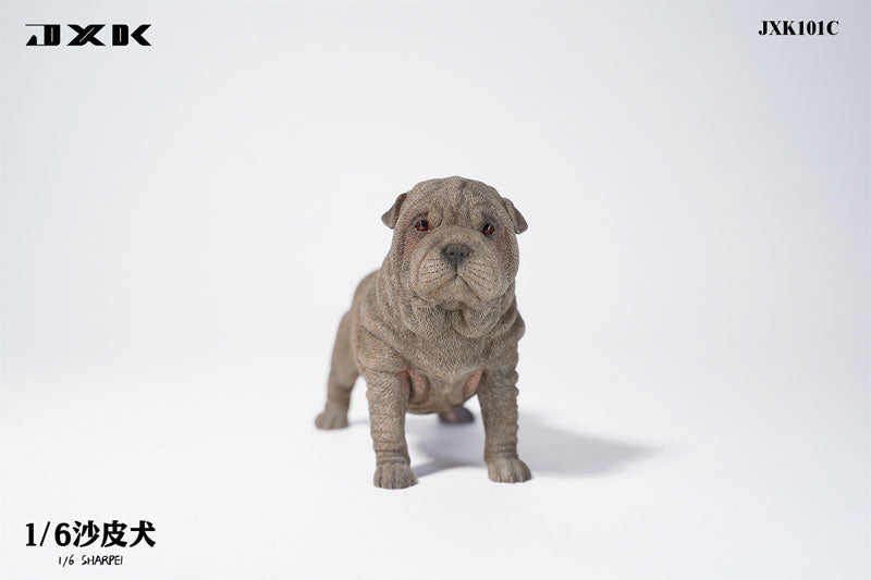 1/6 Shar Pei C