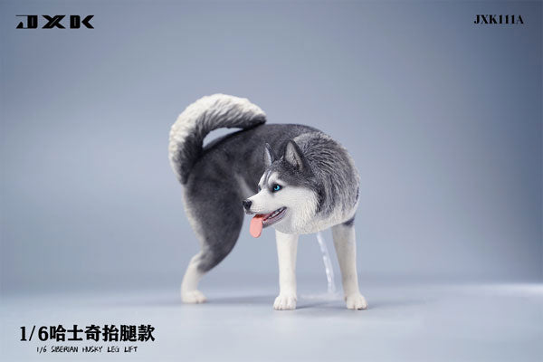 1/6 Siberian Husky Lifting Leg A