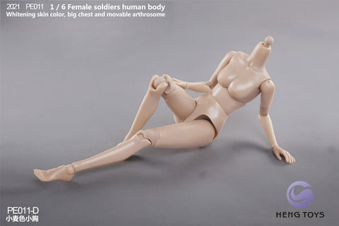 1/6 Female Soldier Human Body (Body) Tan/ Small Bust D