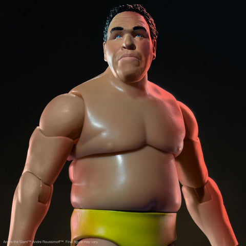 Andre the Giant Ultimate 8 Inch Action Figure ver.2