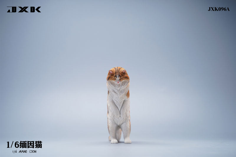 1/6 Maine Coon A