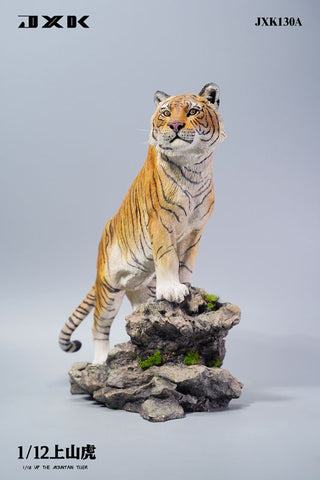 1/12 Tiger Standing at the Summit A