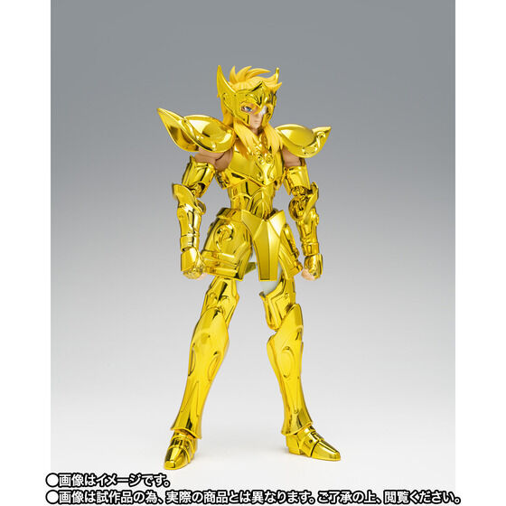 Aquarius Hyoga - Saint Seiya