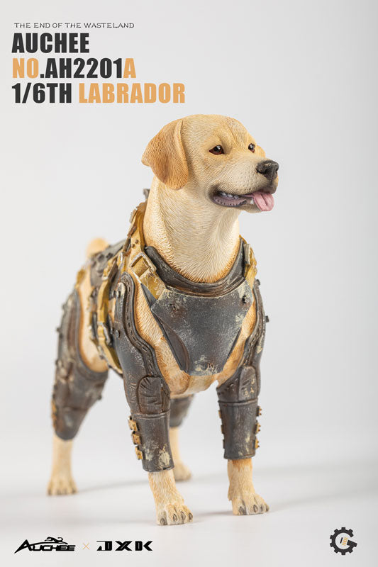 Auchee x JXK Studio 1/6 Labrador A