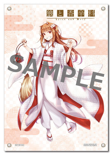 CAworks "Spice and Wolf" Holo Shiromuku ver. Special Package Edition 1/7