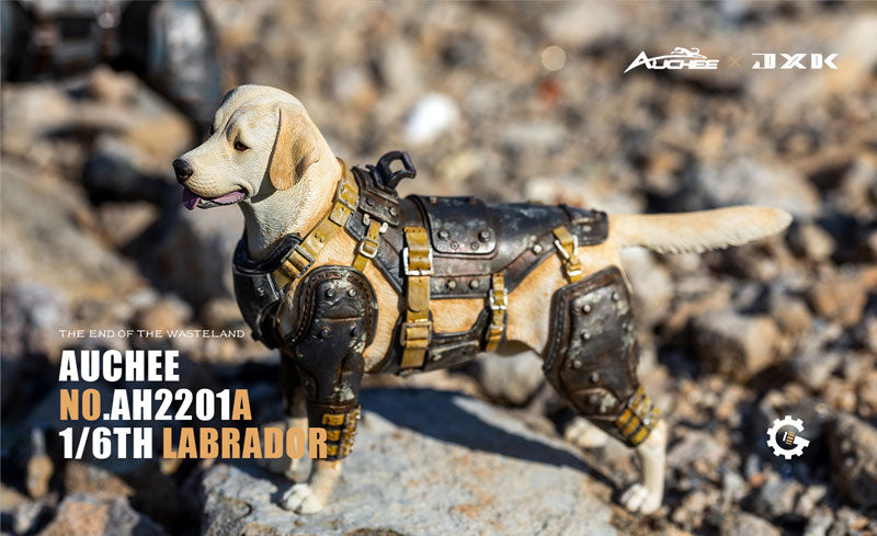 Auchee x JXK Studio 1/6 Labrador A