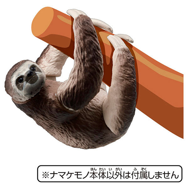 Ania AS-26 Sloth (Brown-throated three-toed sloth)