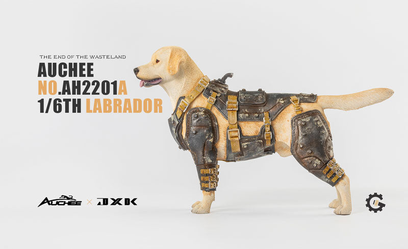 Auchee x JXK Studio 1/6 Labrador A