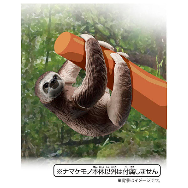 Sloth Japan Ania AS-26 Sloth (Brown-throated three-toed sloth) - Solaris Japan