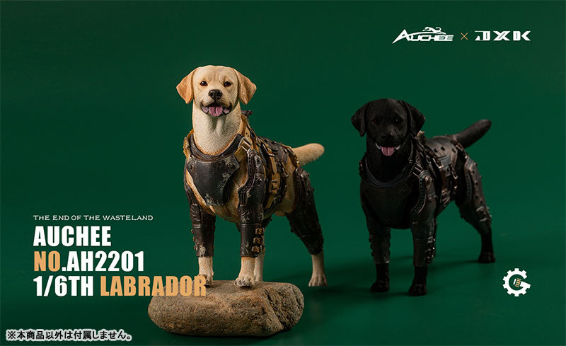 Auchee x JXK Studio 1/6 Labrador A