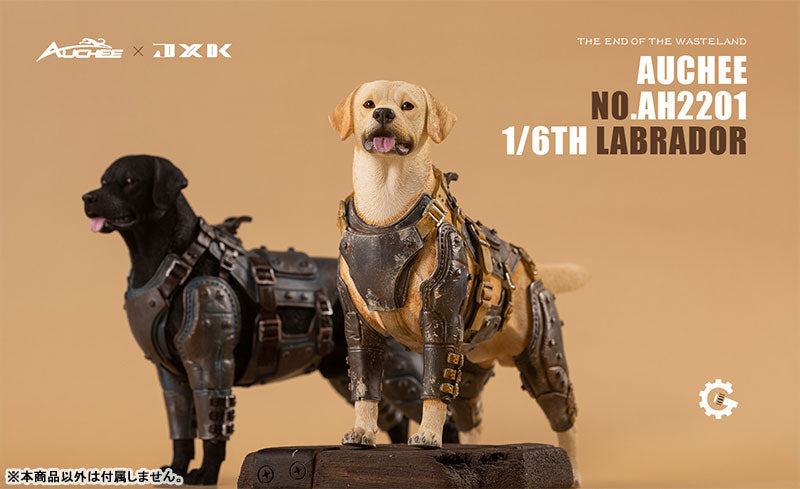 Auchee x JXK Studio 1/6 Labrador A