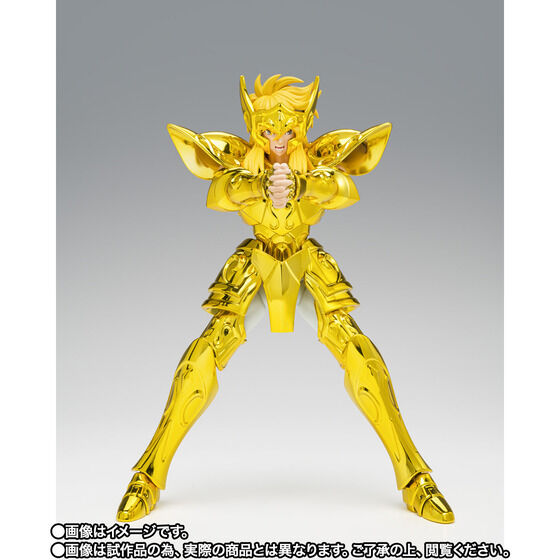 Aquarius Hyoga - Saint Seiya