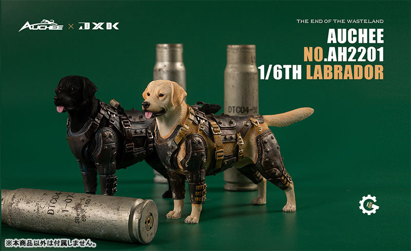 Auchee x JXK Studio 1/6 Labrador A