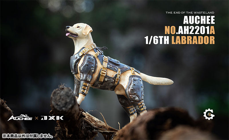 Auchee x JXK Studio 1/6 Labrador A