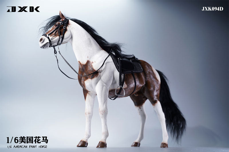 1/6 American Paint Horse D