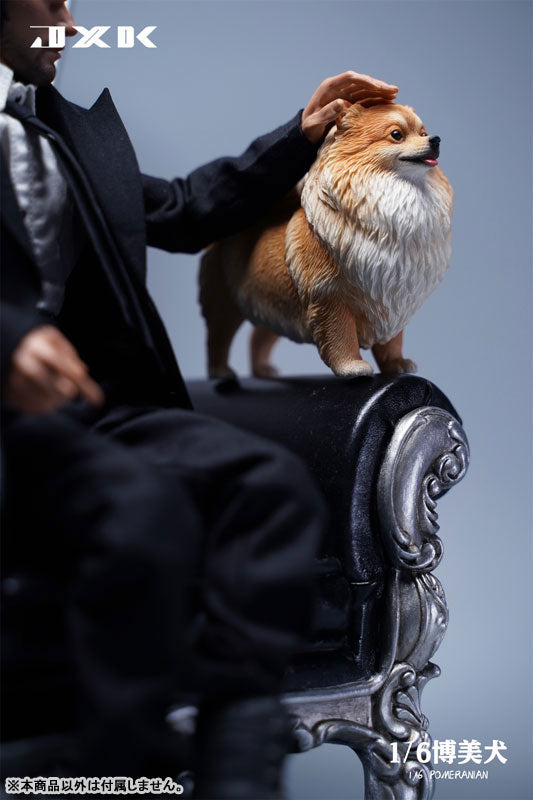 1/6 Pomeranian C